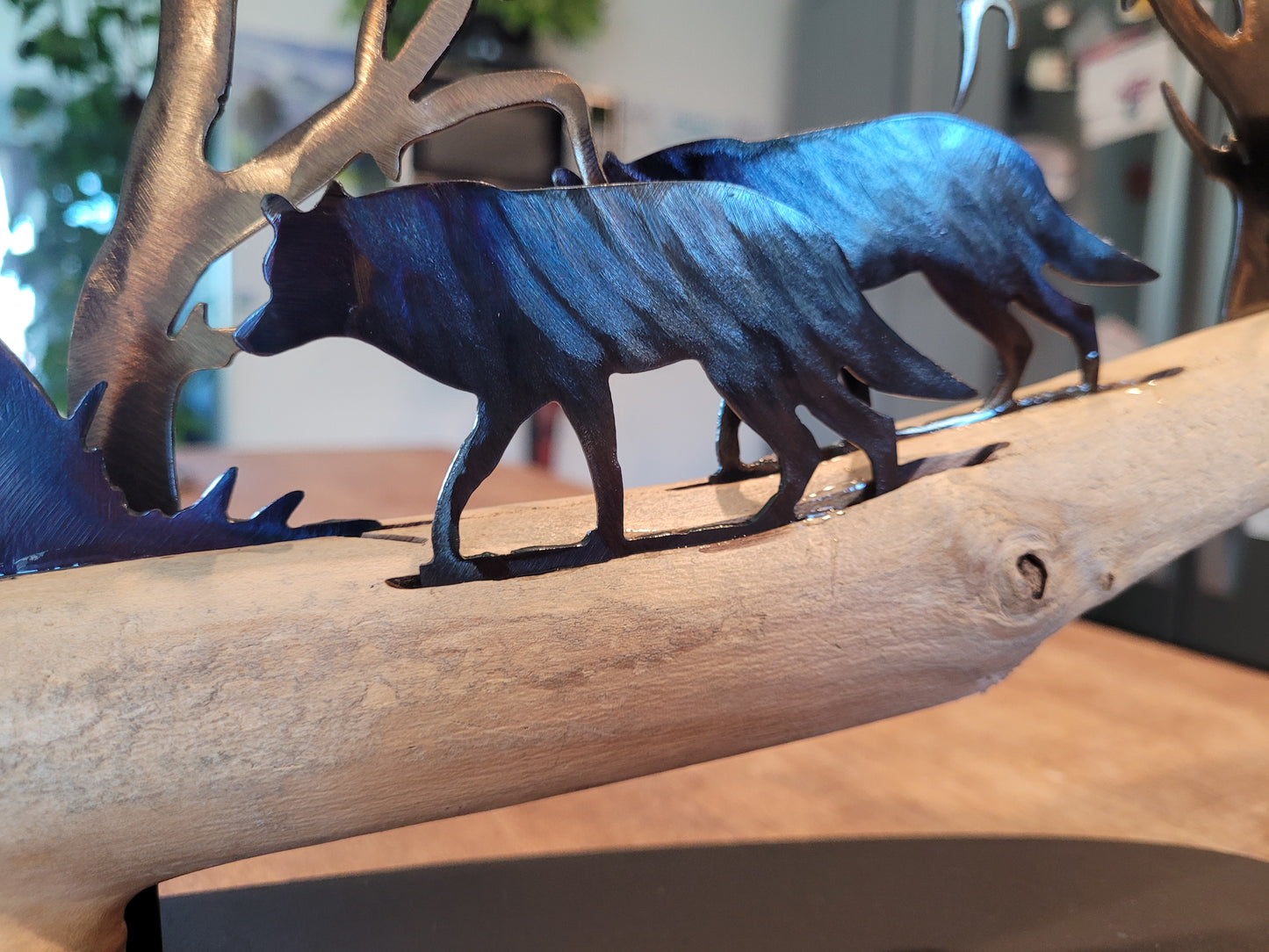 1 - The Wolf Pack Hunting
